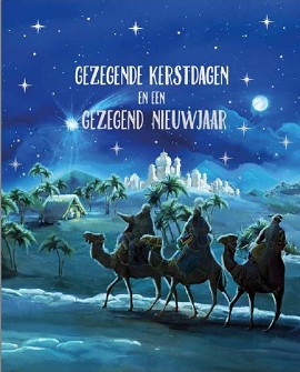 Kerstkaarten 9521